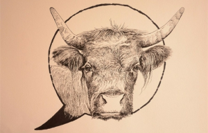 生肖牛今年多大年龄2024 2024年属牛的多大
